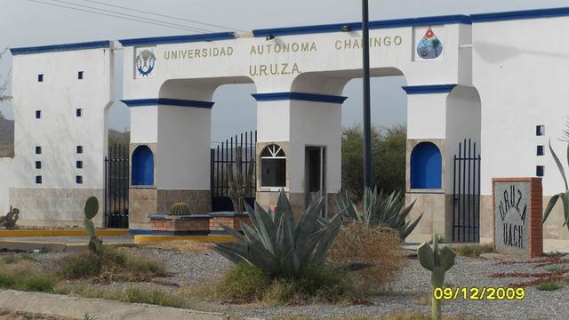 Sin Nombre
